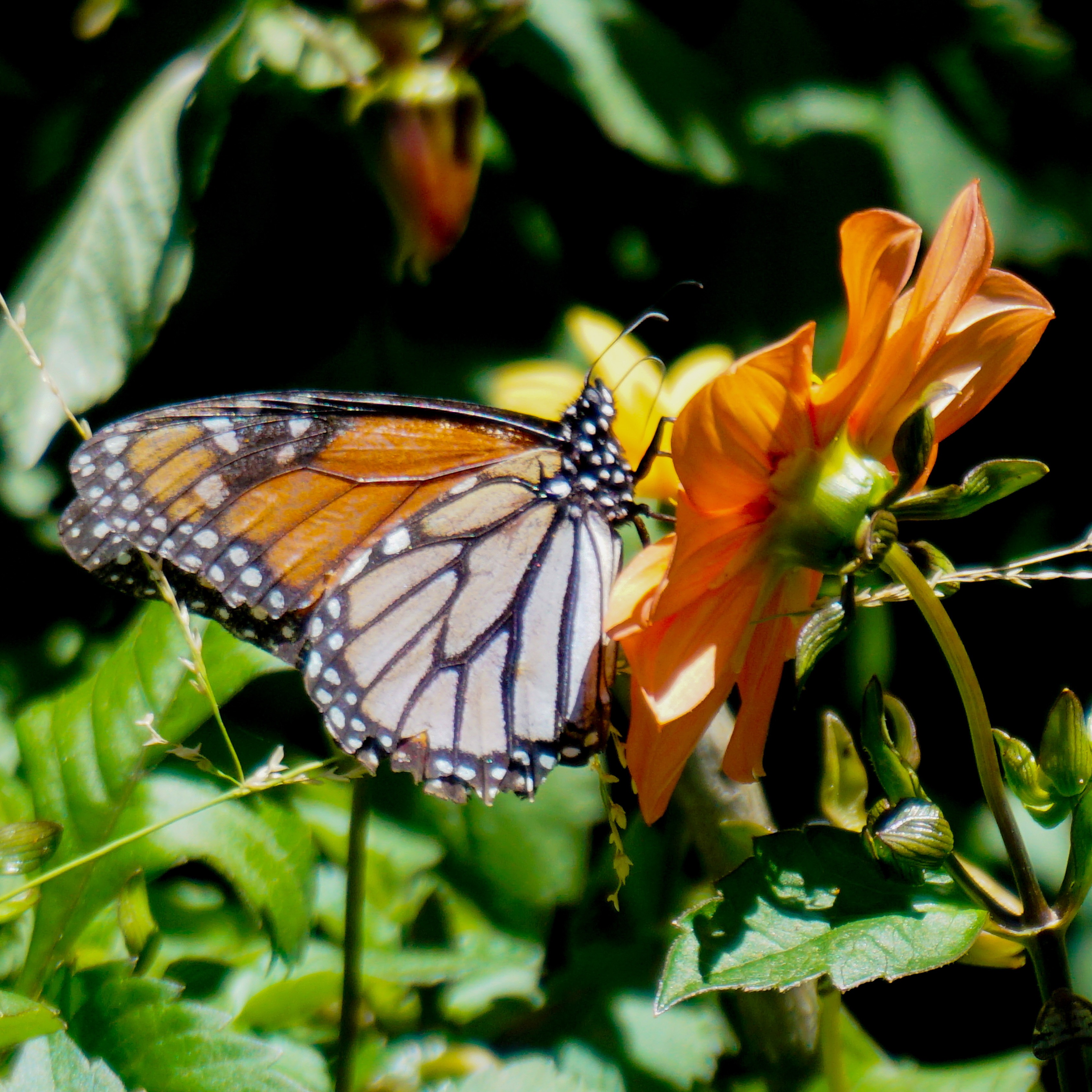 03655556-7C70-46DC-AC6A-F0985B2ABEF6