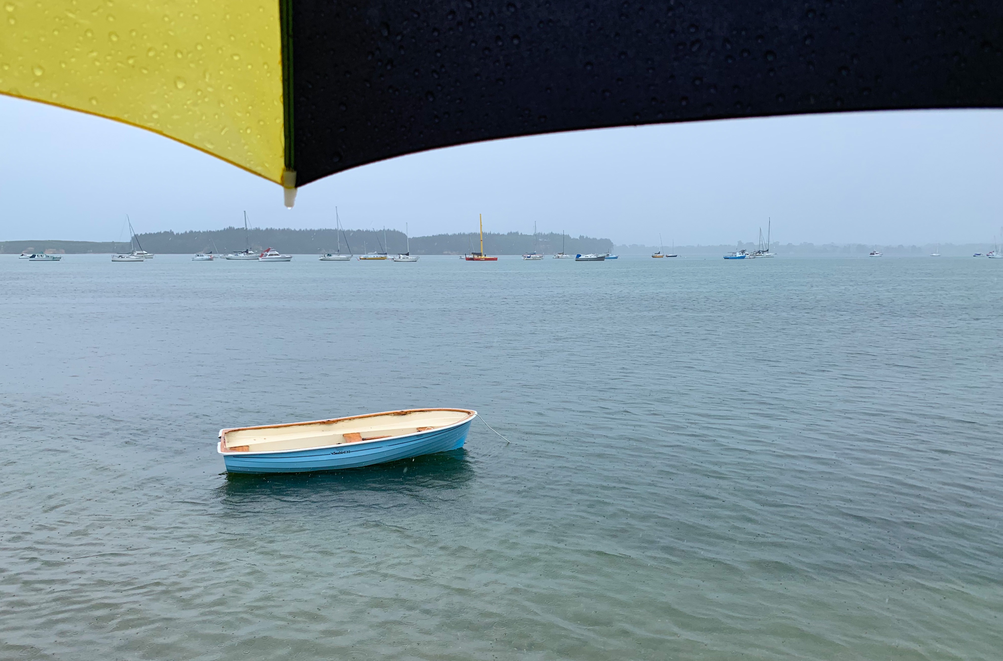 08B6E7C7-8FAC-44E3-B3D1-8891188980BA