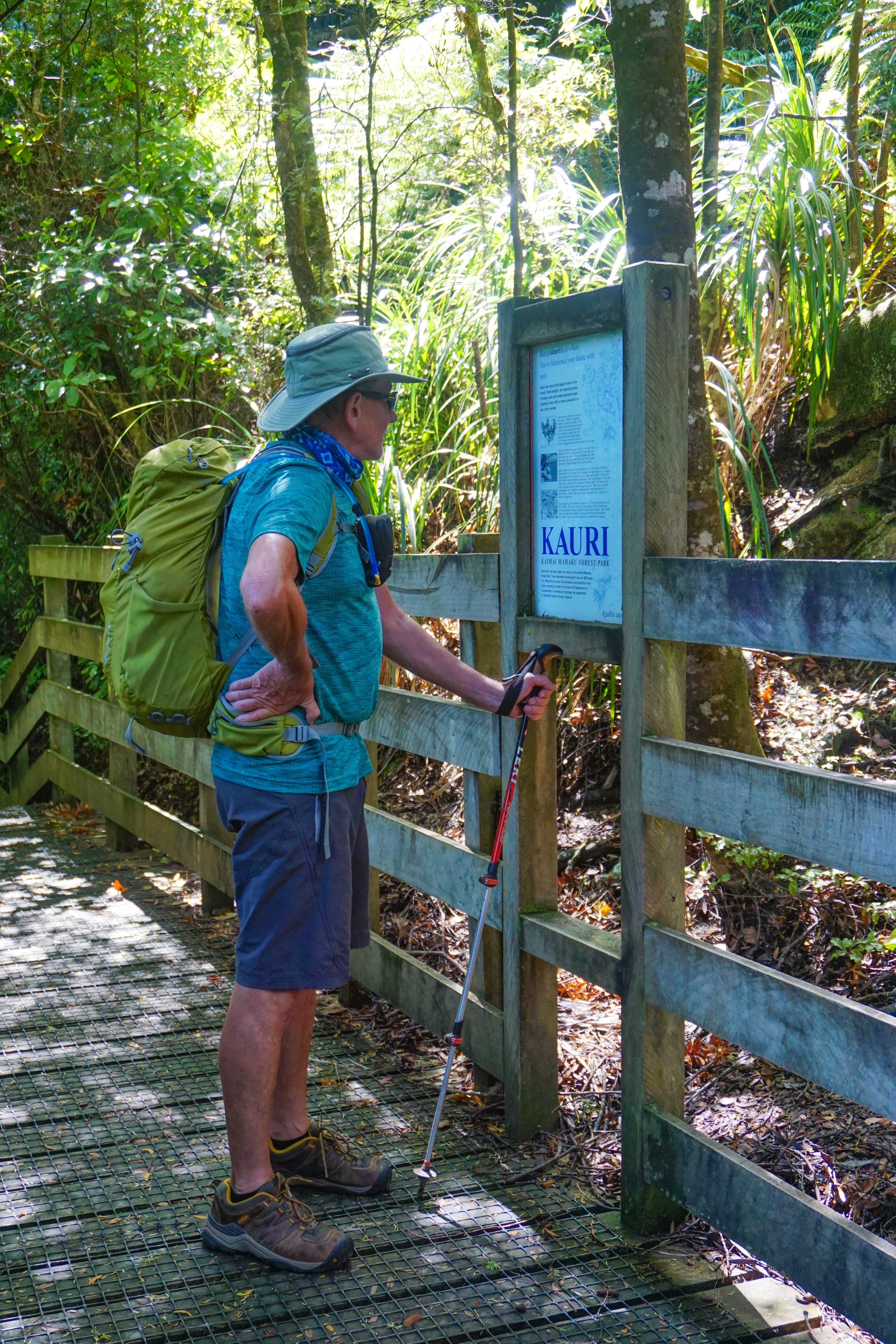 1CE10BC6-C7F9-42CB-B1F2-2E3588392255