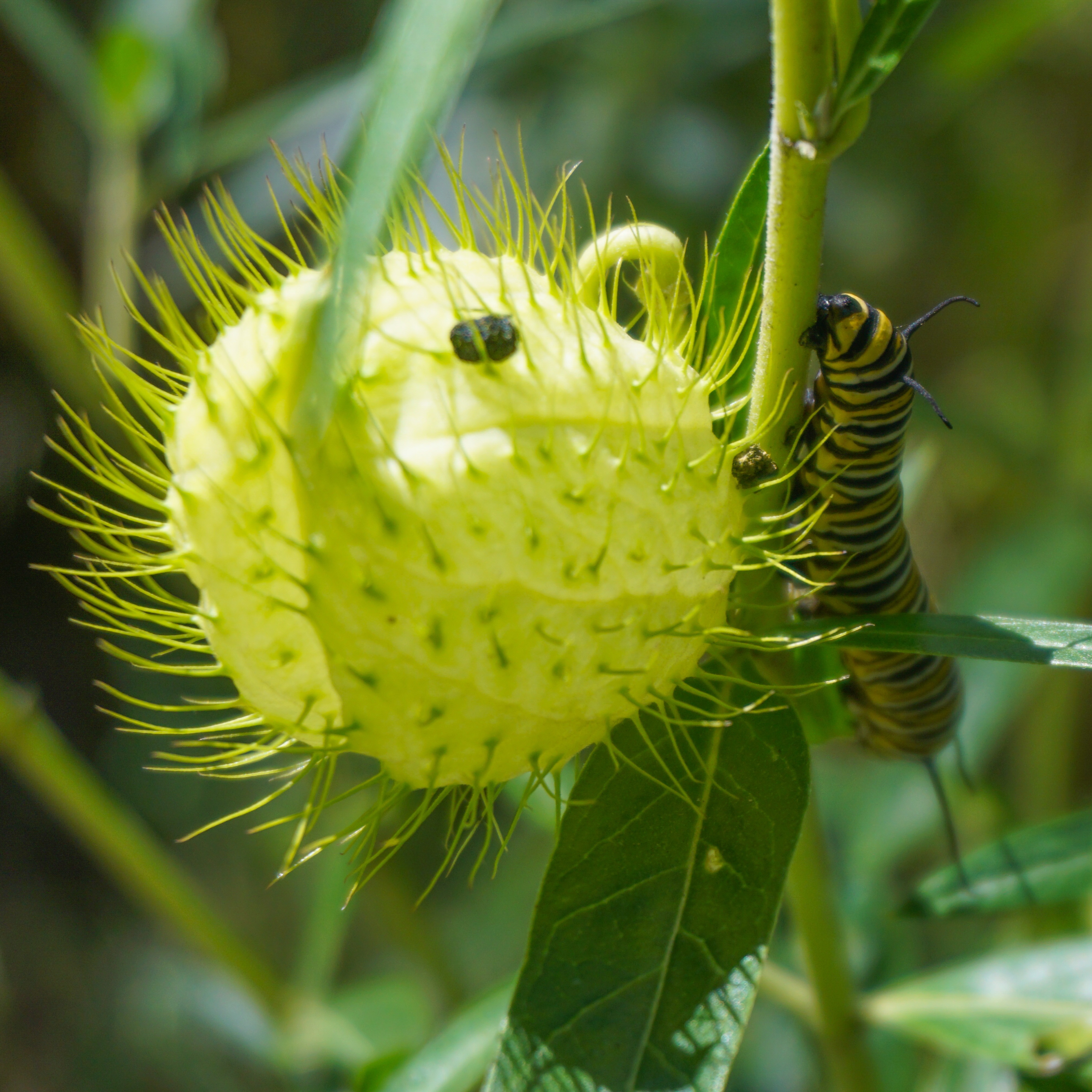 27EC6844-B0A8-463A-BF7A-F75ADFE3F69A