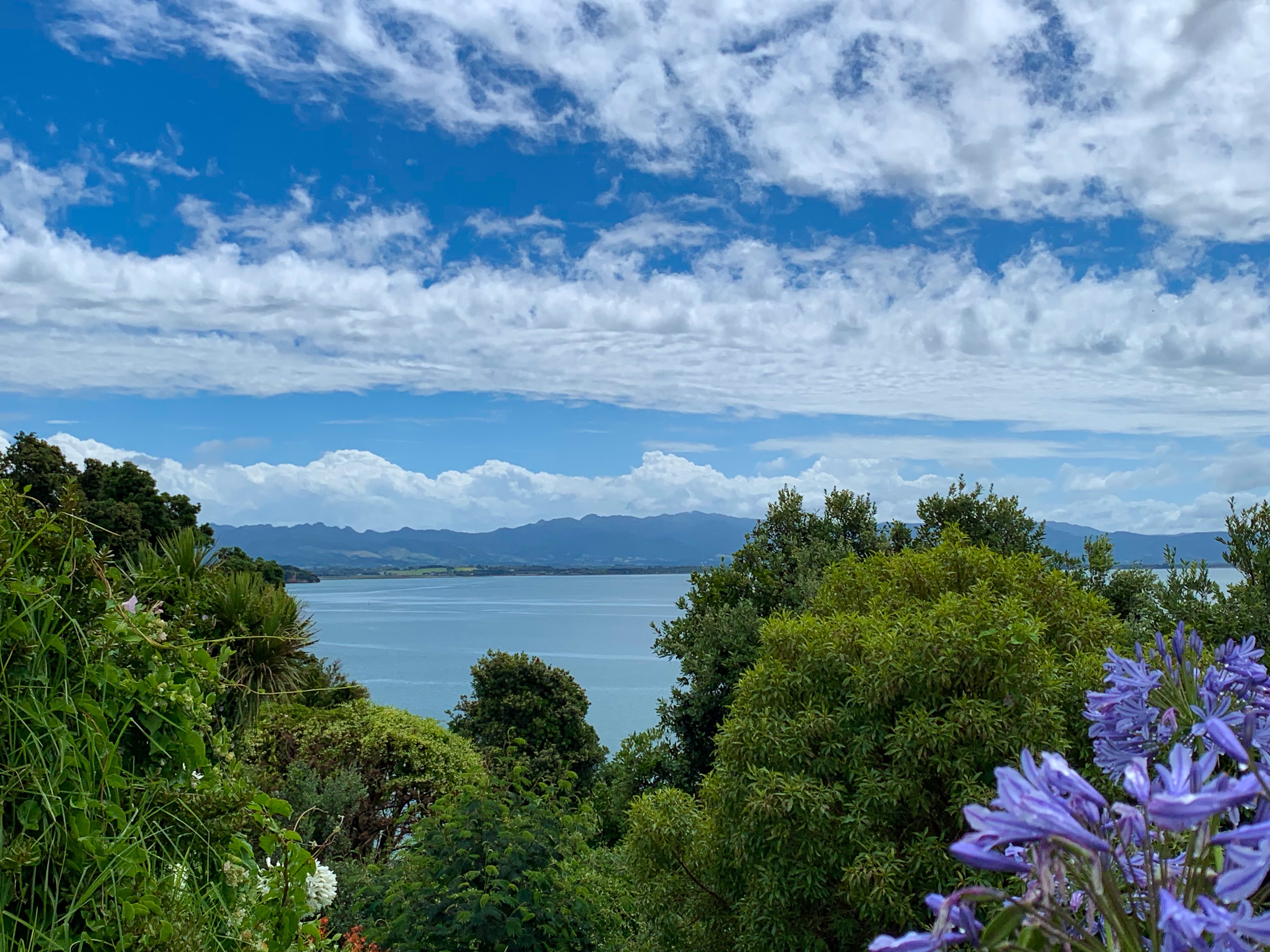 3B050710-5858-4778-969D-15C6824F4343