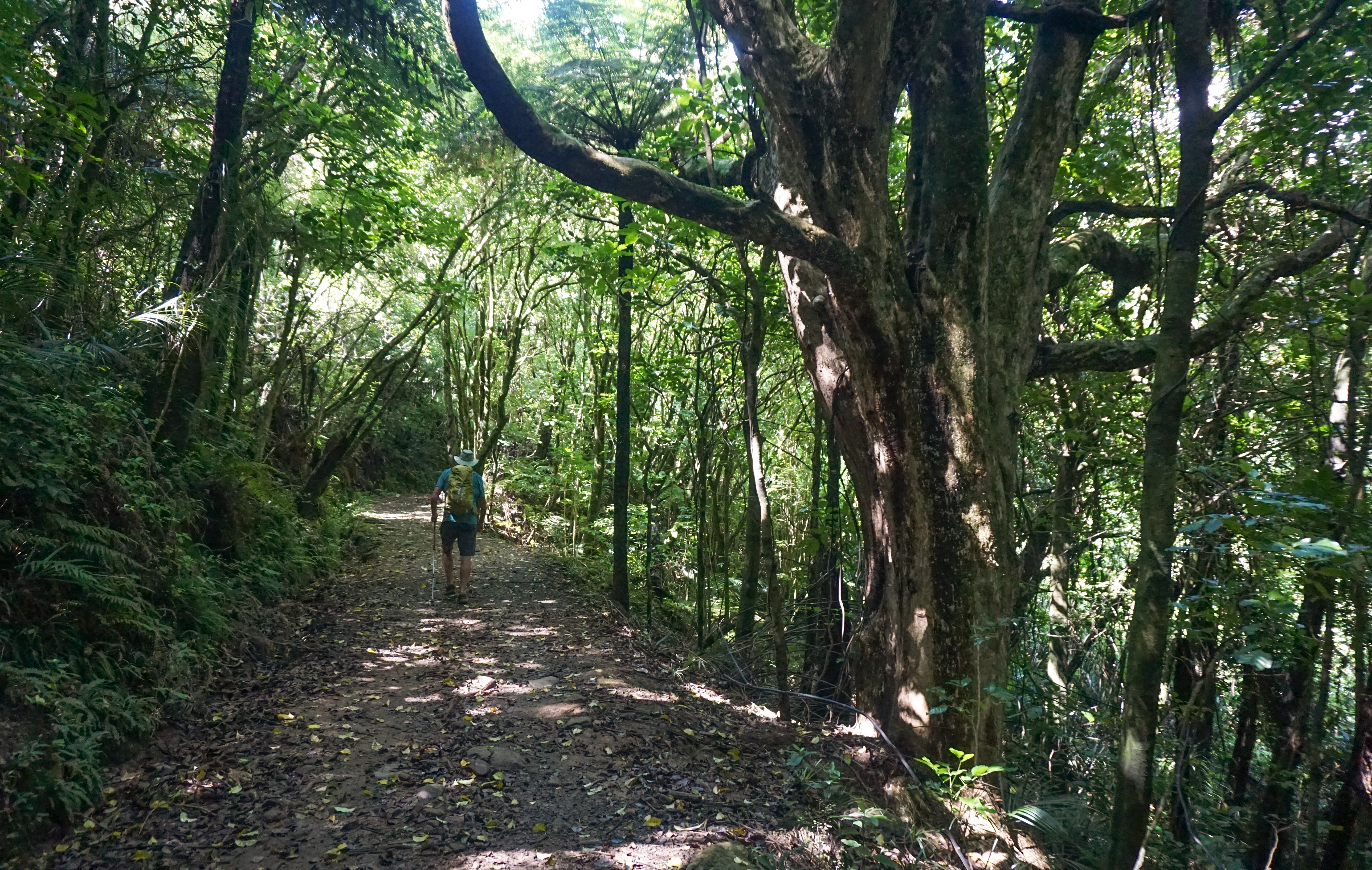 5AFCF5DA-335E-4CC2-B0B8-93A7E5AE1CAE