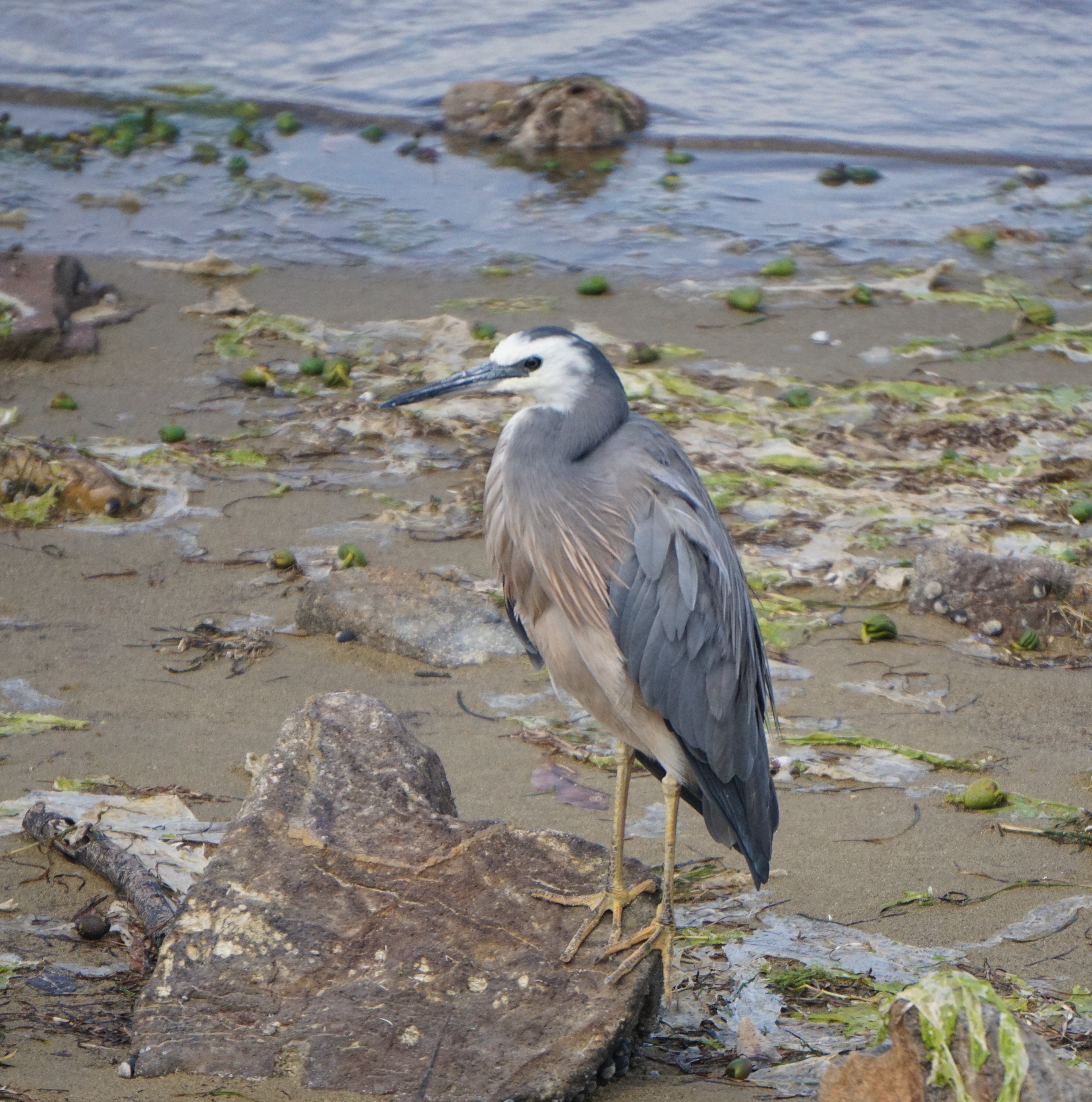 5DFD632A-E18F-4F33-8E09-479246541E68