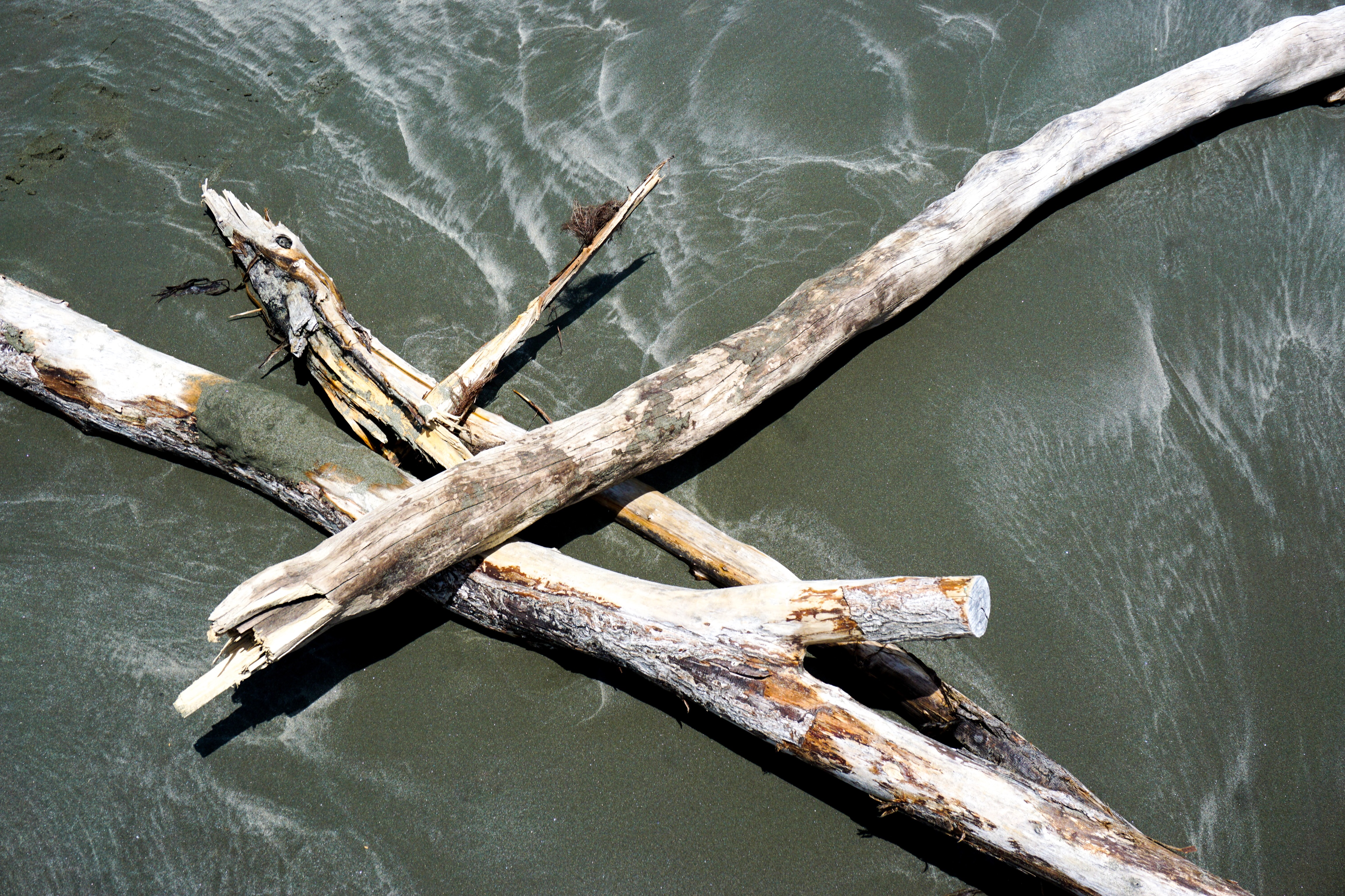 89185395-8A05-4E38-9EB9-BF06981FDDBA