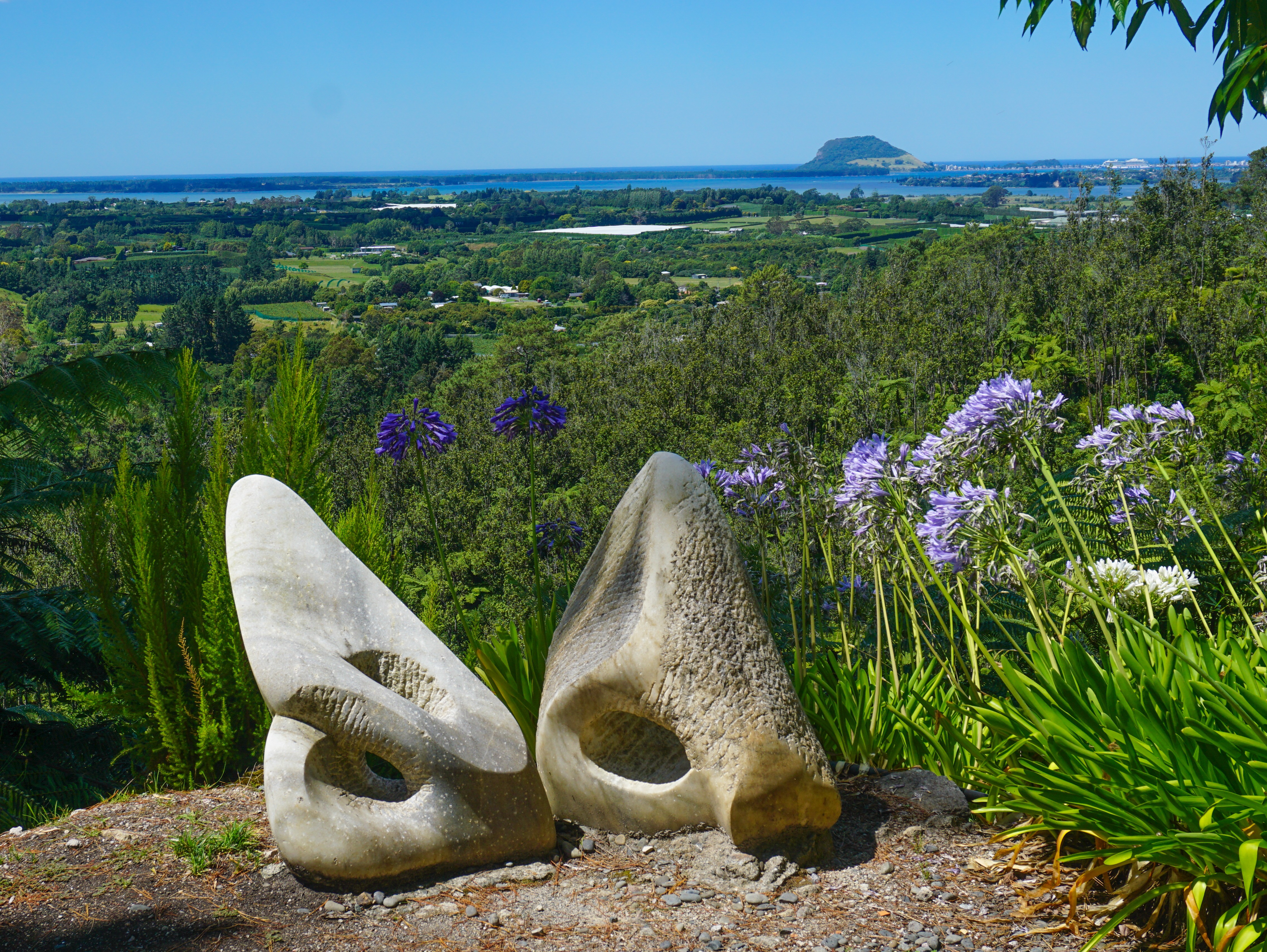 93DAE5FA-A5D5-41DF-829B-51F15A0DF756