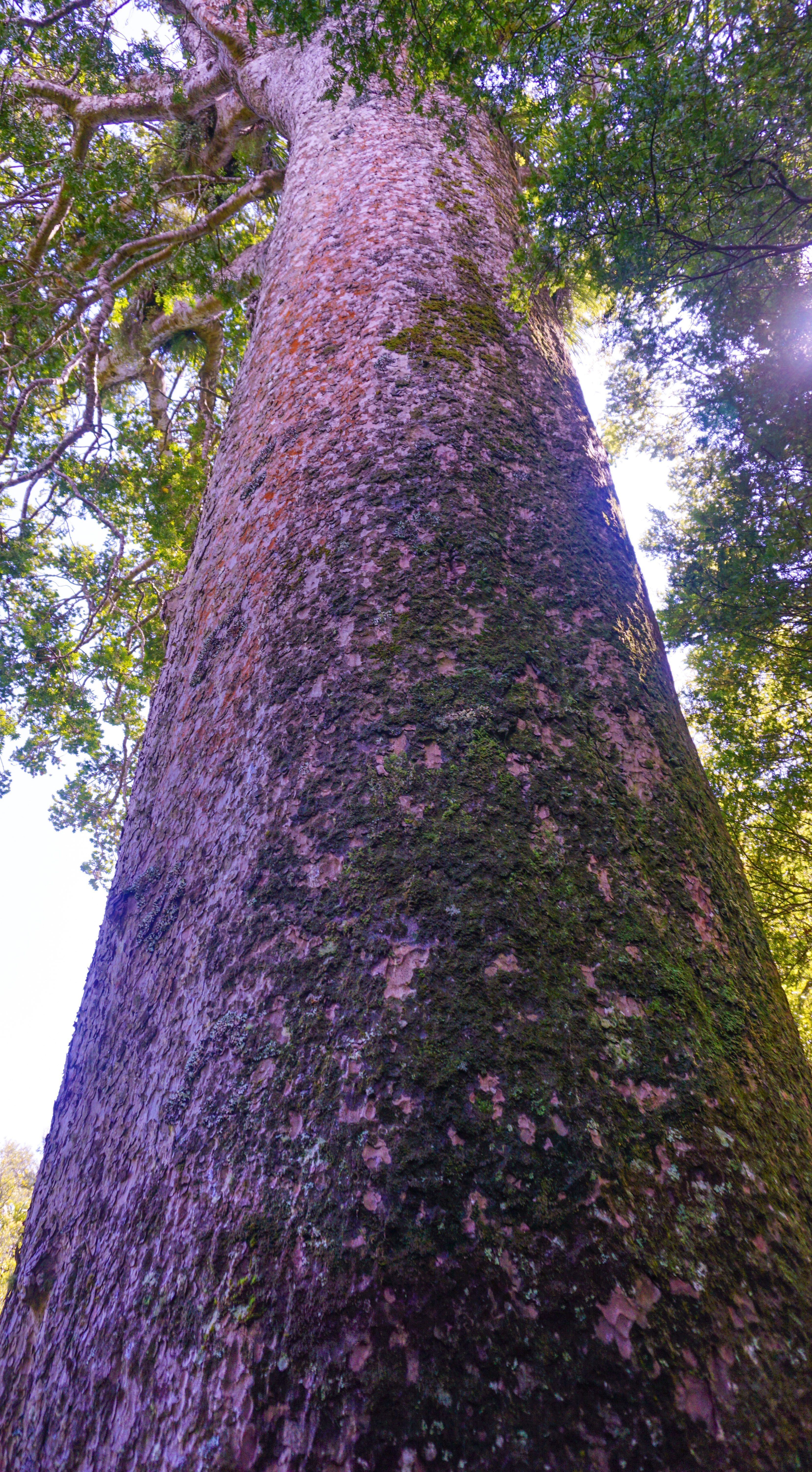 ADECE12F-4F28-4FDC-9670-02CD91AB2B98