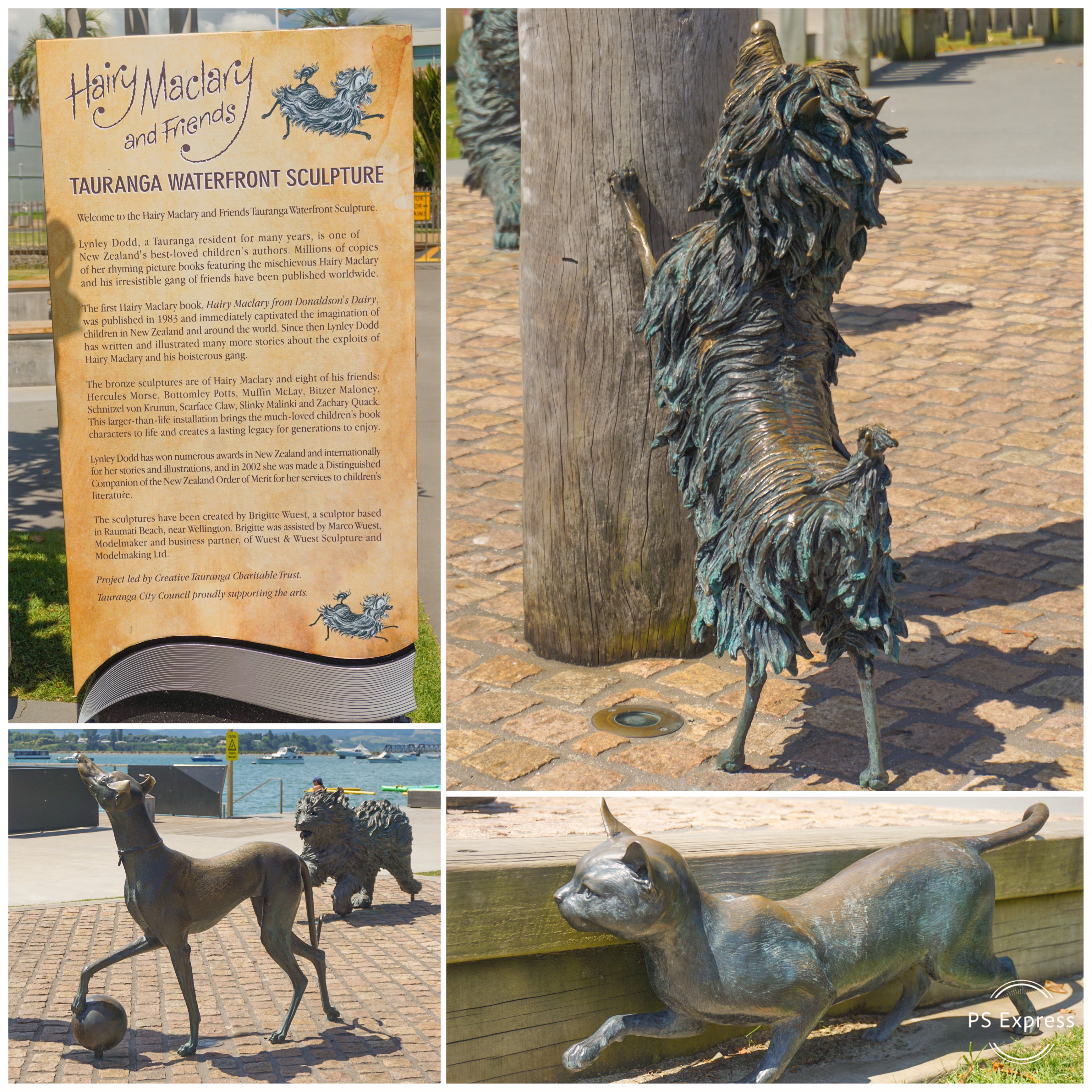 B01A6419-0A6D-4056-8E0D-68C49BEF5525