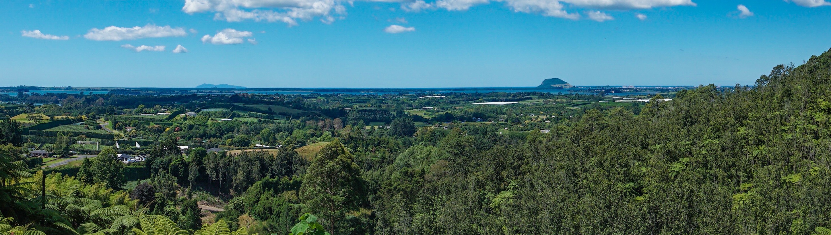 EE9C06B3-7836-4C6D-A63C-13DC140DA173