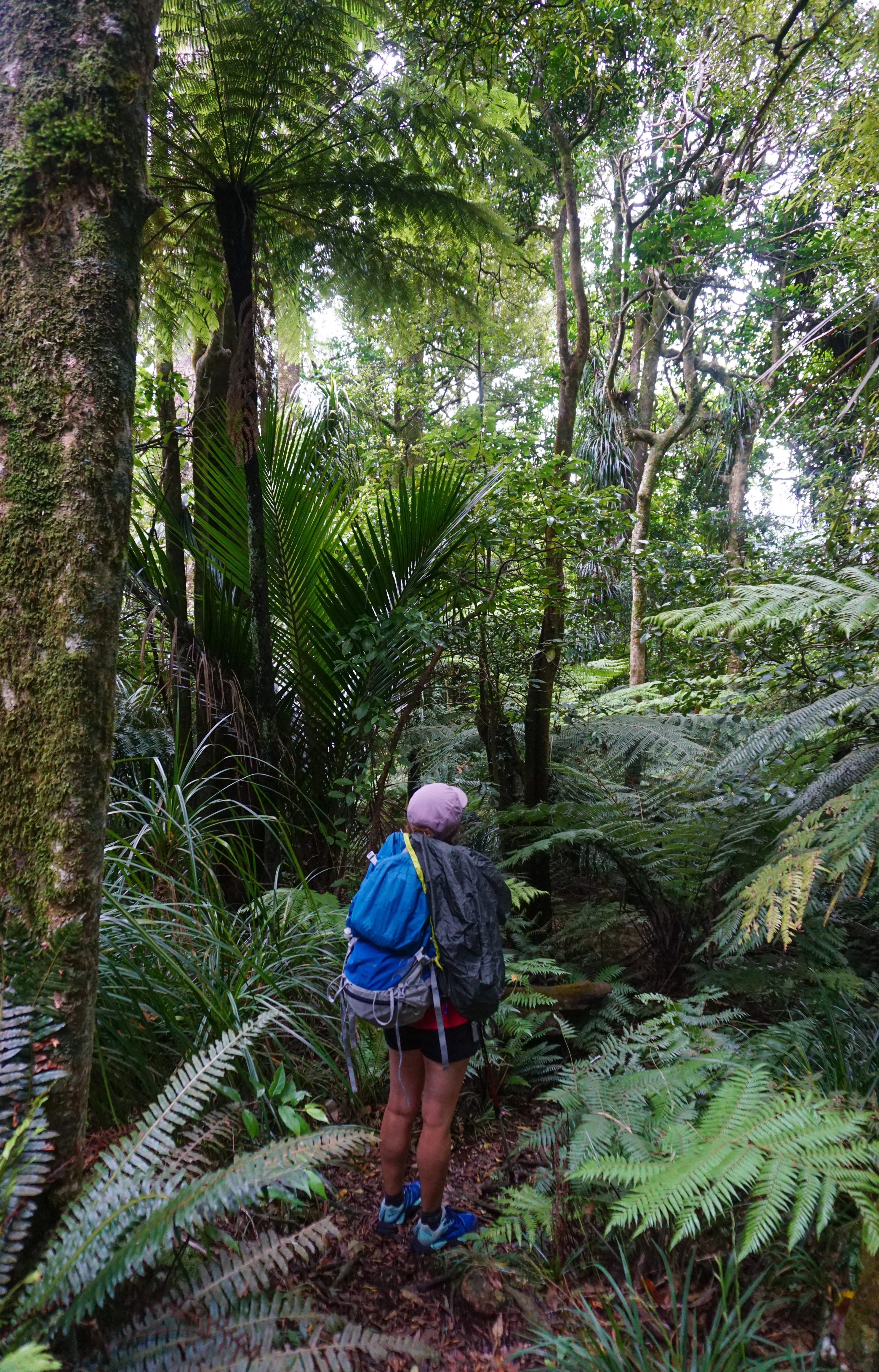 F90F05BD-A398-4AC1-96F0-29C6C0C0A31D