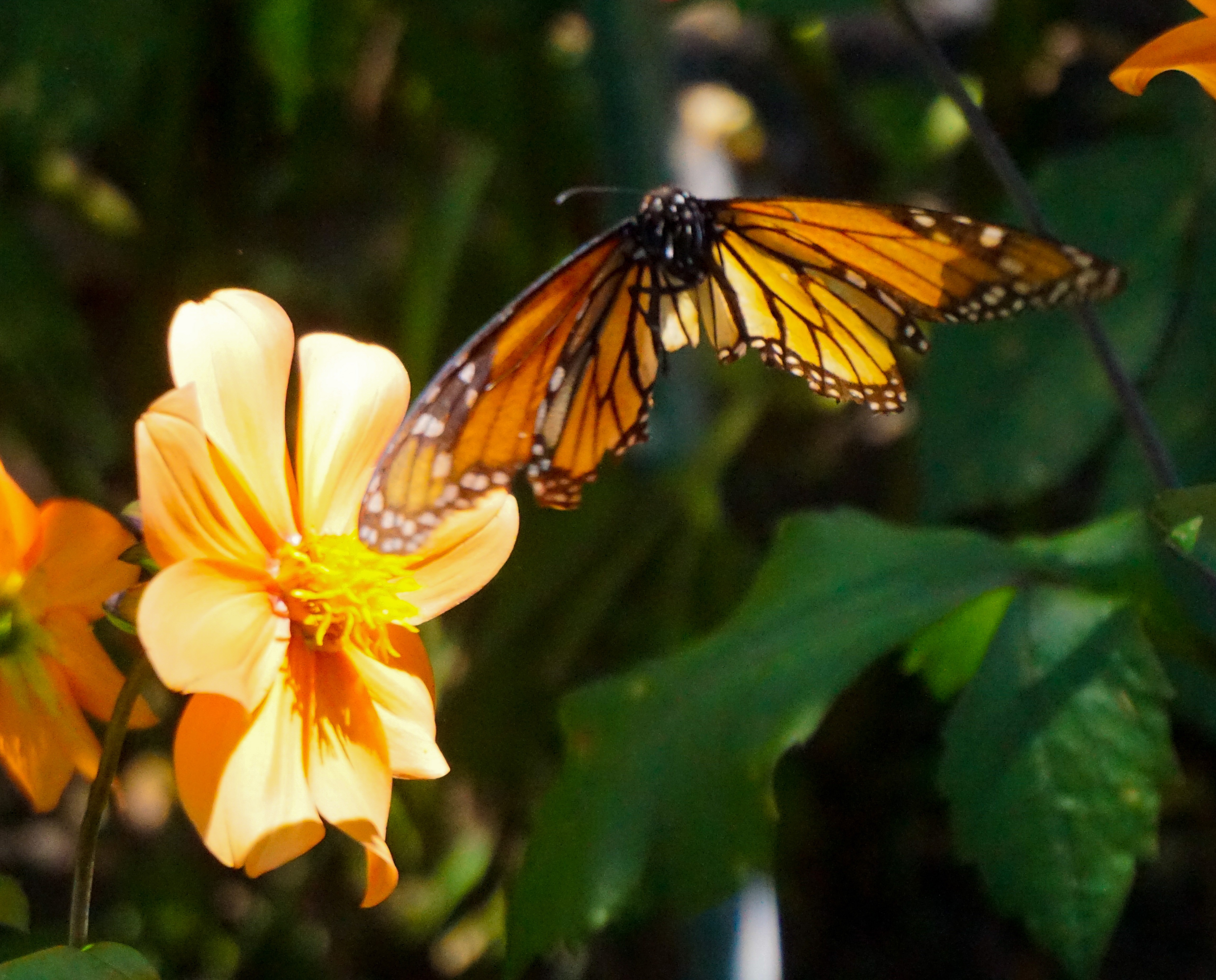 FA077187-E07F-4B0D-9733-57FB9ED5A22B