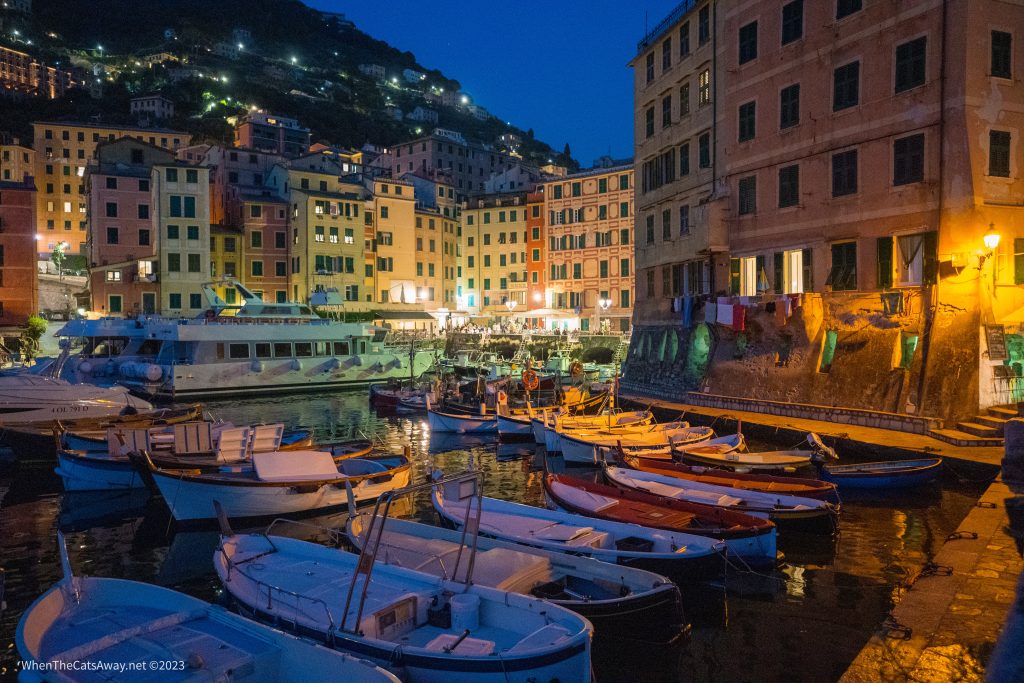 Small boats in a harbour at night